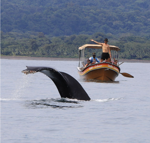 Colombian-pacific-la-kuka-8