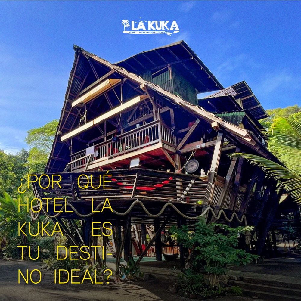 ¿Por qué Hotel La Kuka es tu destino ideal?